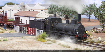 CP 110 (Comboios Eléctricos/Mabar) + CP LFV (Norbrass) - PIAS PN K.196,338