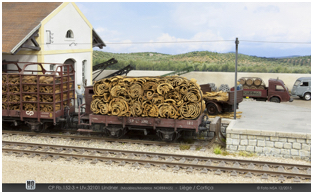 CP Fb152-3 + Lfv32101 - Cortiça/Liège #1
