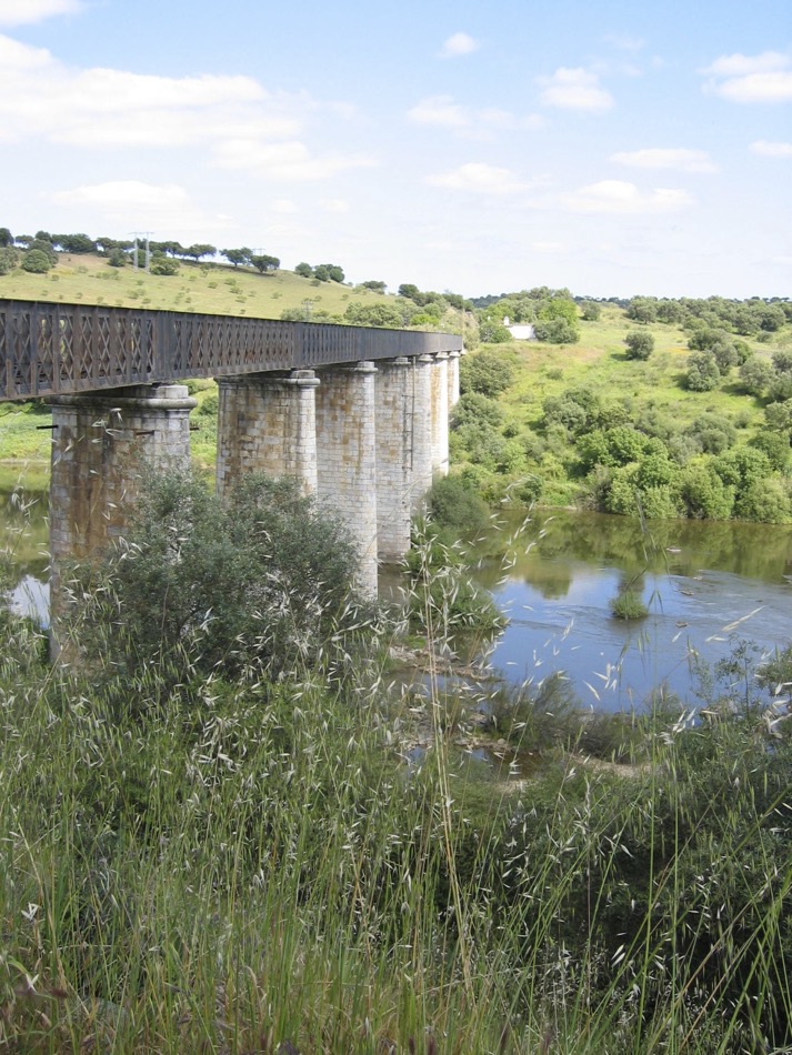 Le pont de Serpa (msa)