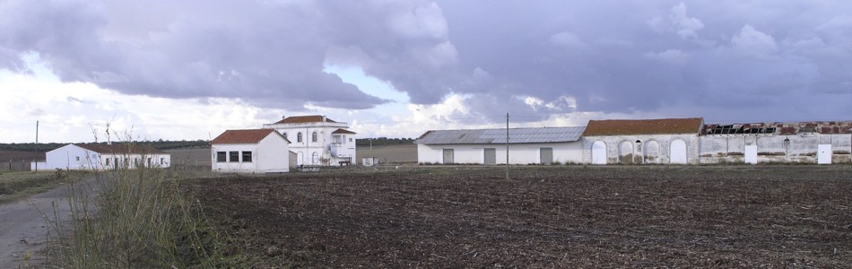 En arrivant à la gare de Brinches, venant de Serpa (msa 2004)