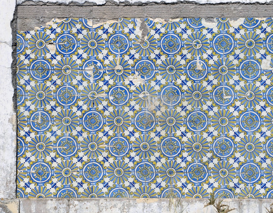 Azulejos à l'intérieur des WC  (msa 2008)